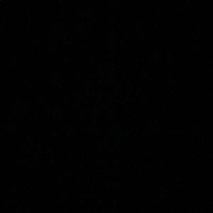 Meet your Posher, Jade